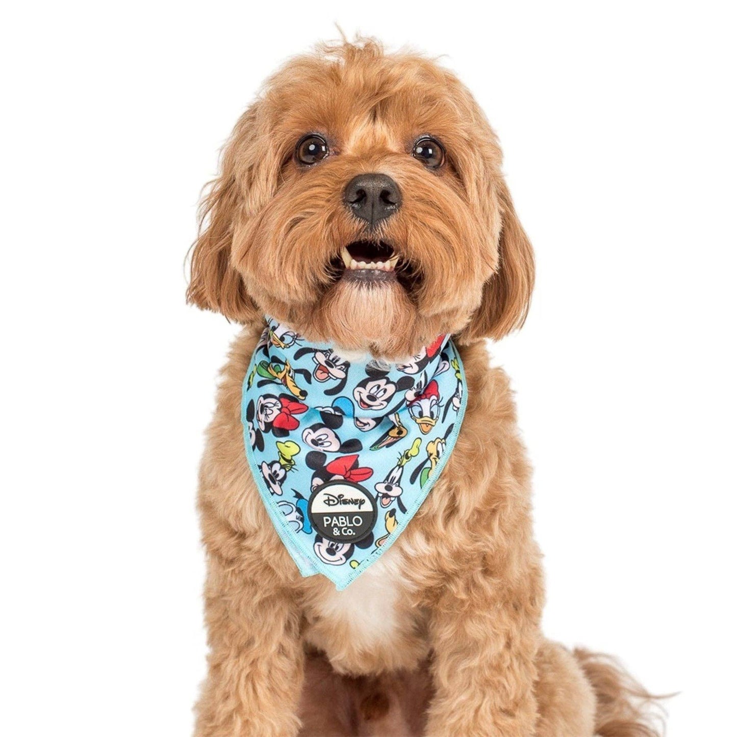 Mickey & Friends - Blue: Dog Bandana: Small