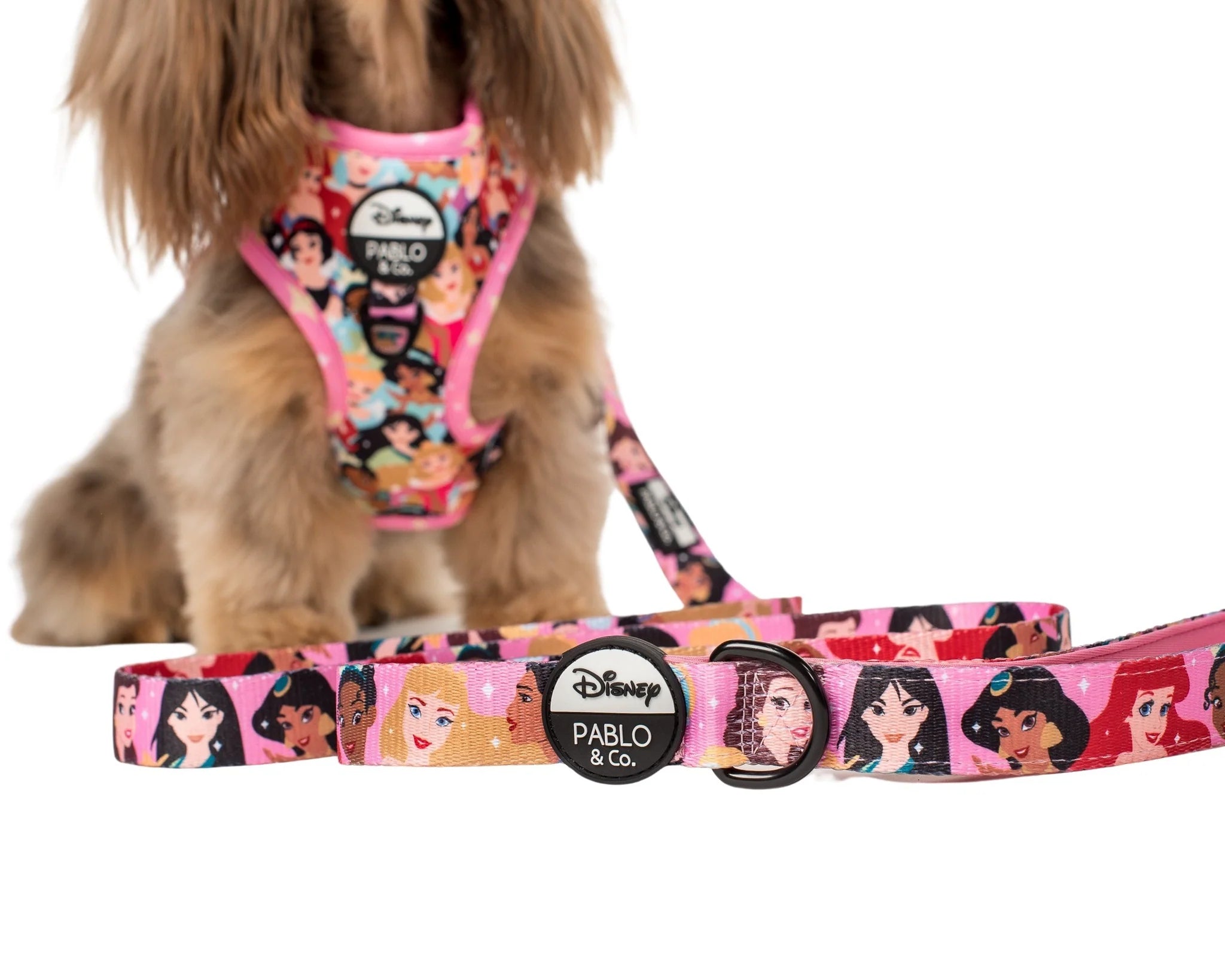 Disney Princesses: Dog Leash
