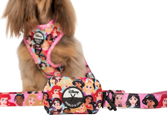 Disney Princesses: Poop Bag Holder