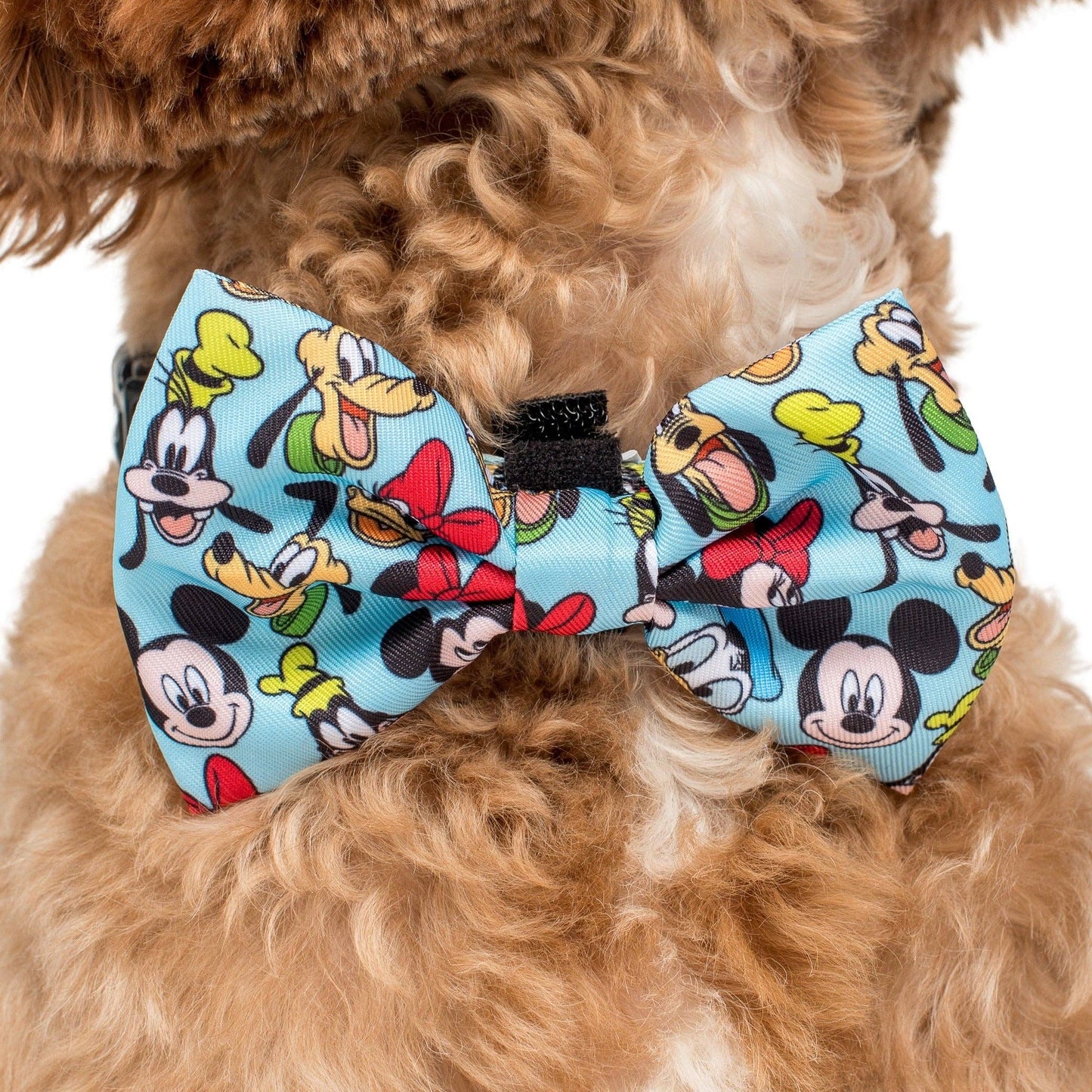 Mickey & Friends - Blue: Bow Tie: Medium