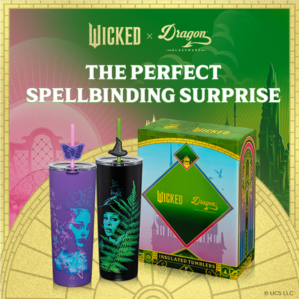 Wicked For Good Tumbler - 24 oz Set of 2