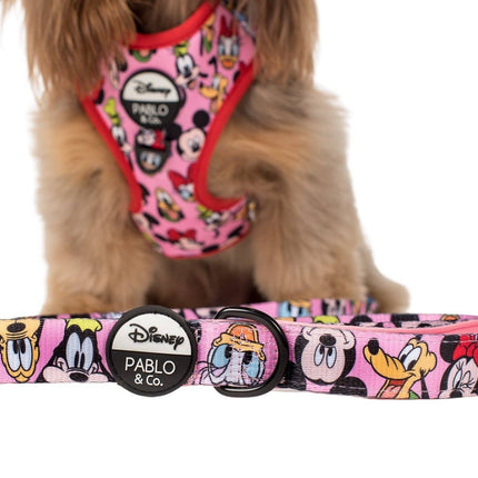 Mickey & Friends - Pink: Dog Leash: 1.5cm