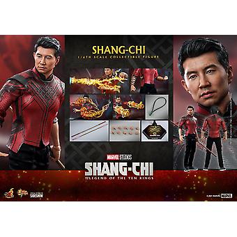 Shang-Chi Sixth Scale Collectible Figure Hot Toys