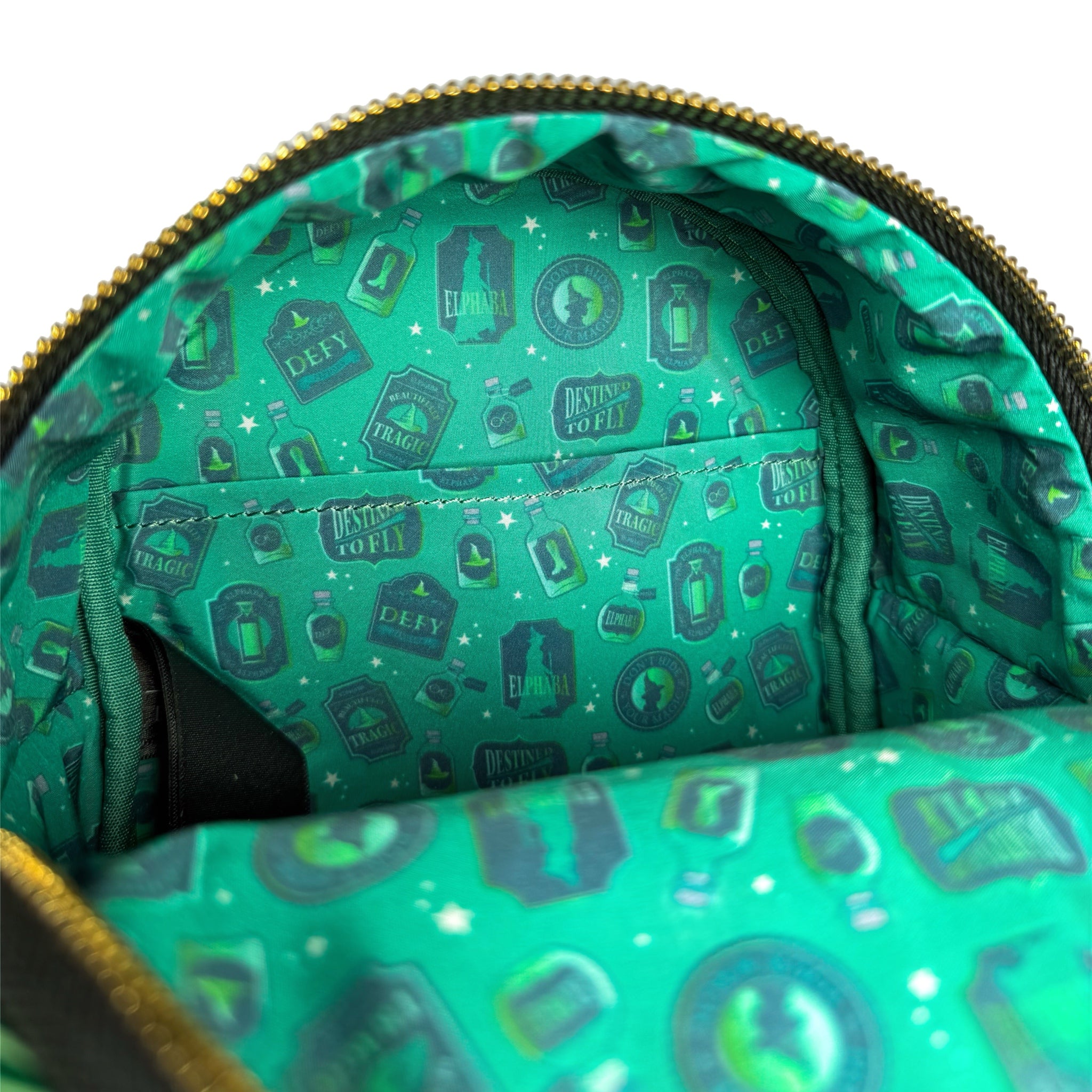 Wicked Elphaba Convertible Exclusive Loungefly Mini Backpack 8