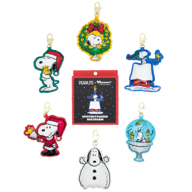 Peanuts Snoopy Winter Scenes Mystery Box Padded Vinyl Bag Charms