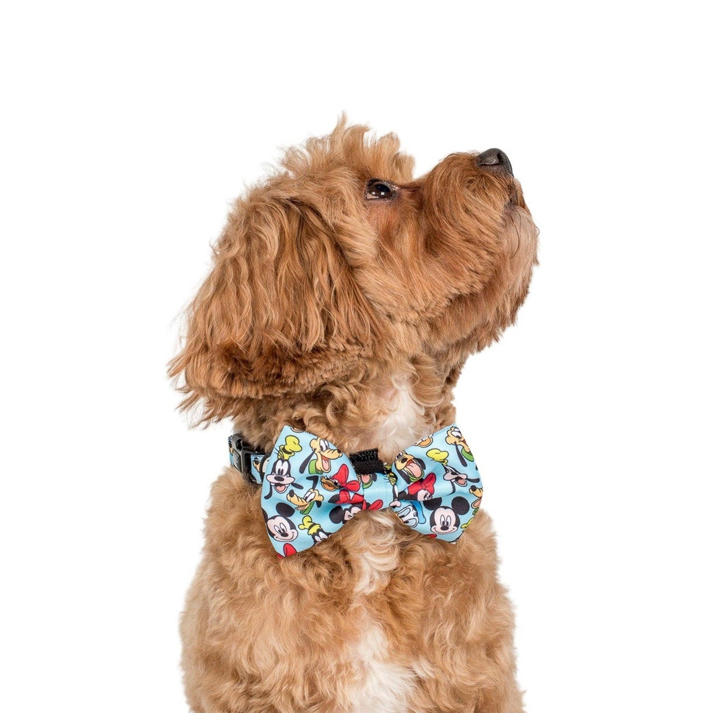 Mickey & Friends - Blue: Bow Tie: Medium