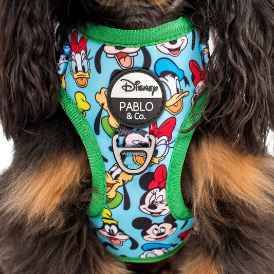 Mickey & Friends - Blue: Adjustable Harness: Medium