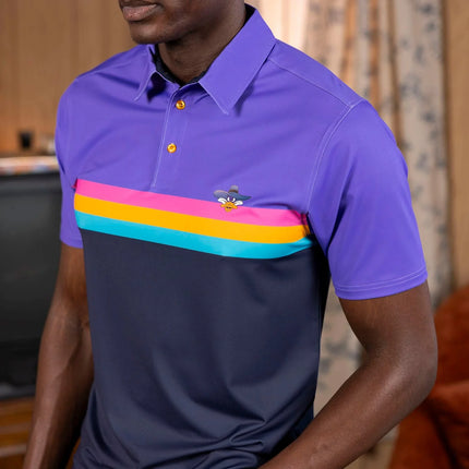 Disney’s Darkwing Duck "The Masked Mallard" – All-Day Polo