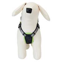 Beetlejuice Cosplay Mini Backpack Dog Harness