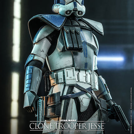 Clone Trooper Jesse Sixth Scale Collectible Figure - Star Wars: The Clone Wars (Hot Toys)