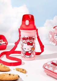 Hello Kitty Friends Strap Water Bottle